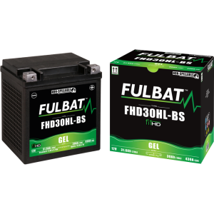 Segway battery  FHD30HL-BS GEL 12Volt  Capacity:32Ah/31,6Ah  CCA:430Amp  L:165 W:130 H:175   P/N:550882  Polarity: - / +