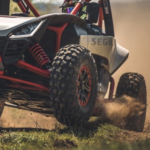 BULLDOG TIRES B3036 30x10-14 All-Terrain Radial