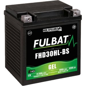 Segway battery FHD30HL-BS GEL 12Volt Capacity:32Ah/31,6Ah CCA:430Amp L:165 W:130 H:175 P/N:550882 Polarity: - / + (550882) 