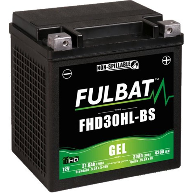 Segway Battery FHD30HL-BS GEL 12V 32Ah Segway Battery FHD30HL-BS GEL 12V 32Ah