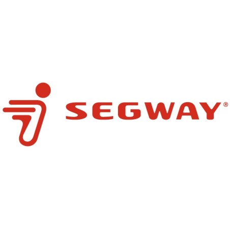 Segway CVT DRIVE PULLEY ASSEMBLY (CVTech) - Partnr: F01E20000001