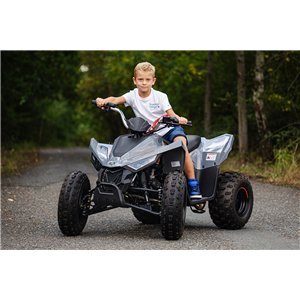 Linhai 110 ATV Junior EFI – Kinder ATV met injectiemotor