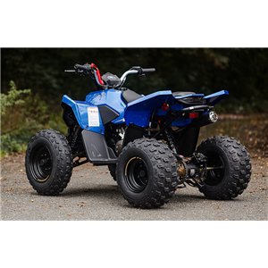 Linhai 110 ATV Junior EFI – Kinder ATV met injectiemotor