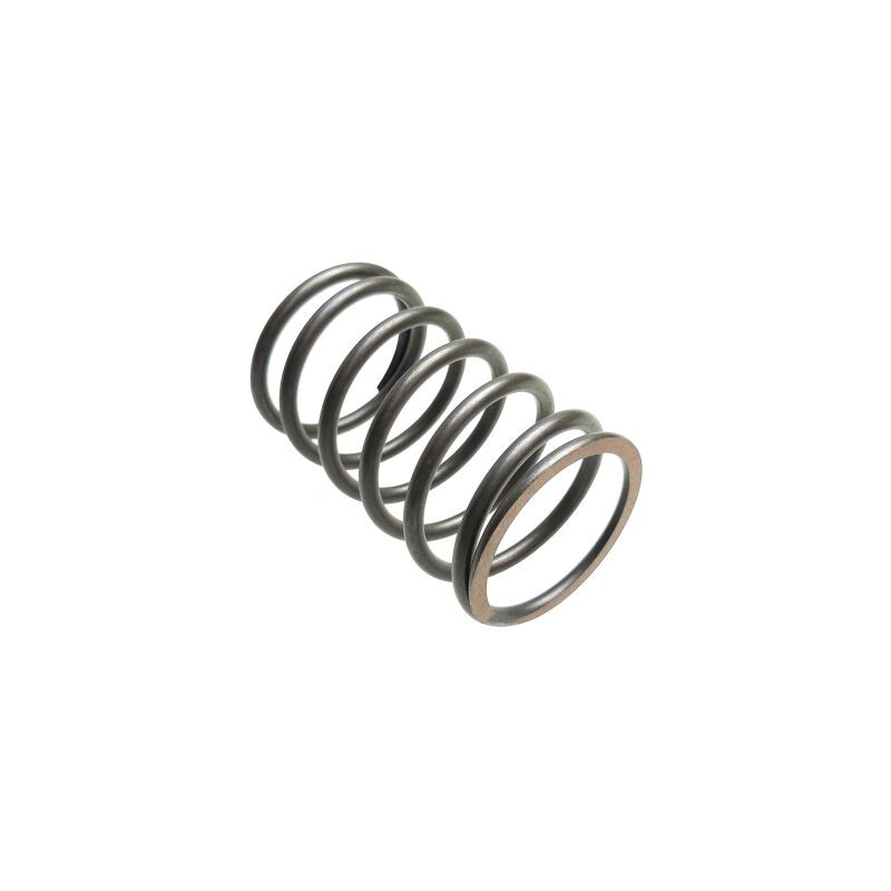 Segway DRIVE PULLEY SPRING - Partnr: F01E20004003 Segway DRIVE PULLEY SPRING - Partnr: F01E20004003