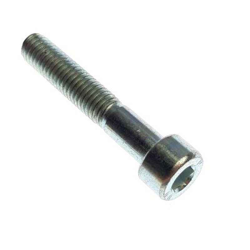 Segway SCREW M8×45 - Partnr: GBT000701024