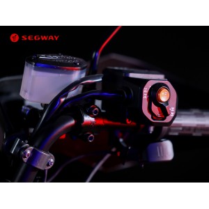 Segway Snarler AT10L-P in Grey/Red, premium model