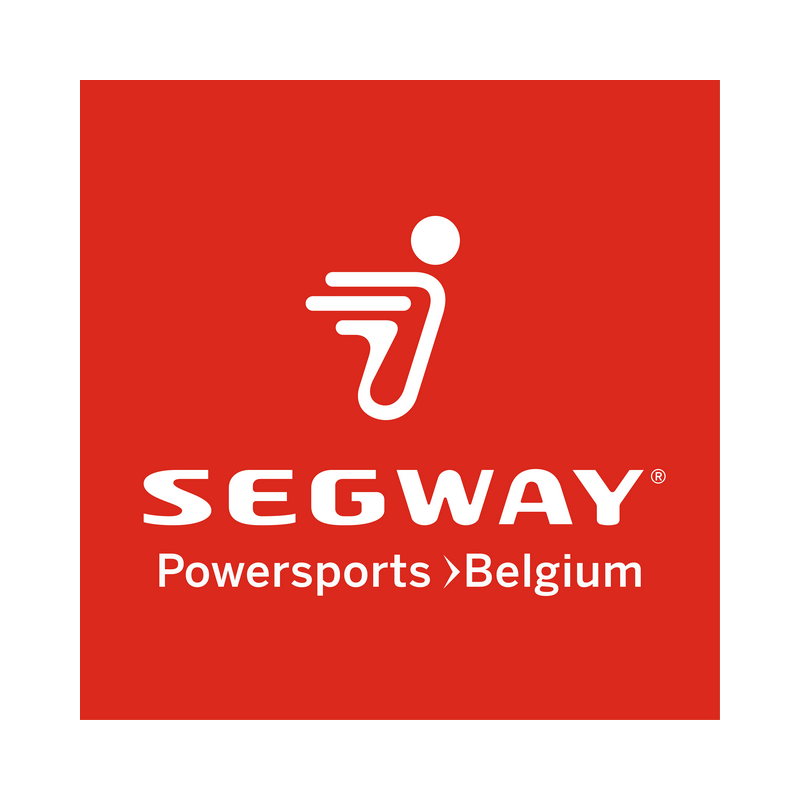 Segway 2000 DOHC DECAL - Partnummer S11-L100009-000-00