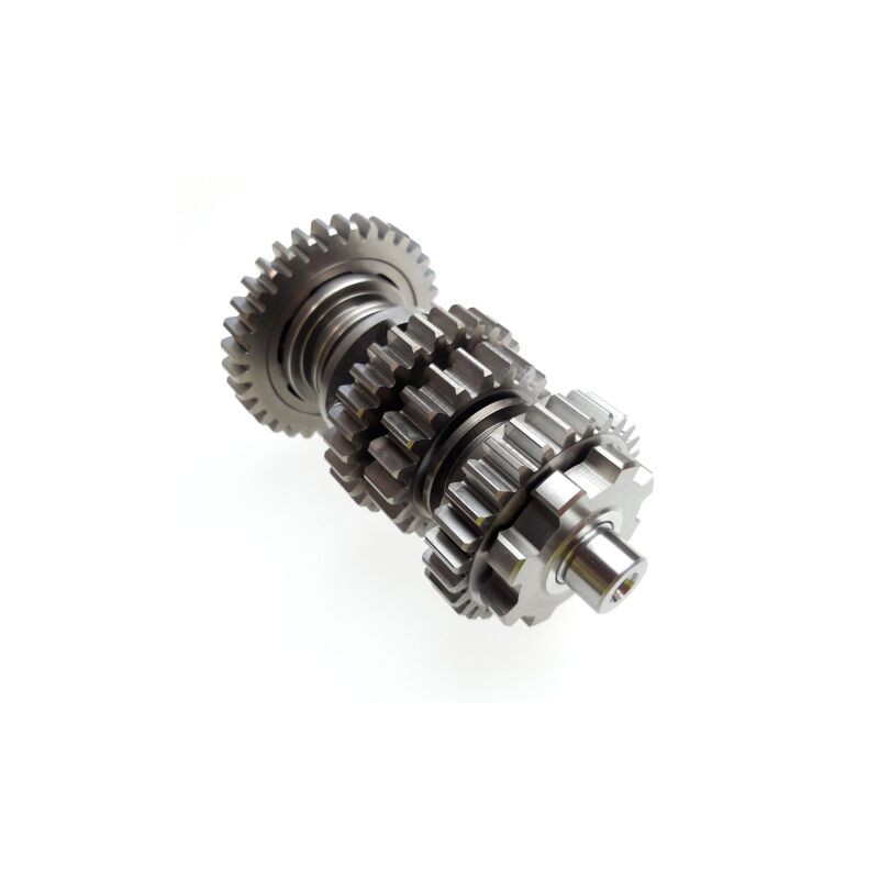 Segway OEM TRANSMISSION COUNTERSHAFT ASSEMBLY Part Nummer: F01F20600001 Segway OEM TRANSMISSION COUNTERSHAFT ASSEMBLY Part Nummer: F01F20600001