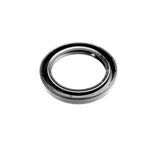 Segway OIL SEAL 48×65×9 - Partnr: Q02F00004001