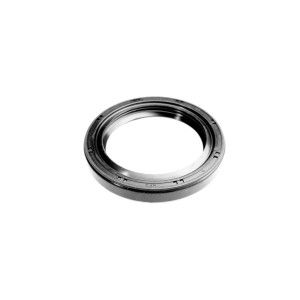 Segway OIL SEAL 48×65×9 - Partnr: Q02F00004001