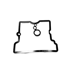 Segway CYLINDER HEAD COVER SEAL - Partnr: F01A10002001