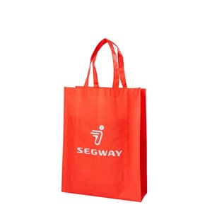 Segway Accessoire: Non-woven Bag - Partnr: AM1R33001001