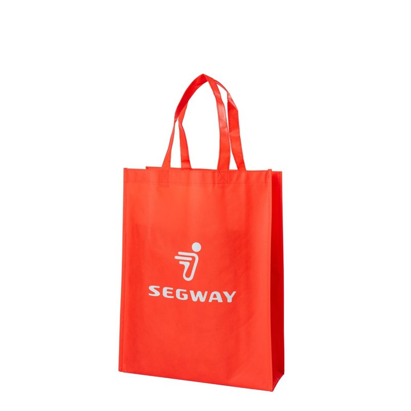 Segway Accessoire: Non-woven Bag - Partnr: AM1R33001001