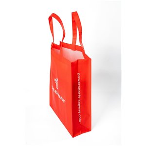Segway Accessoire: Non-woven Bag - Partnr: AM1R33001001