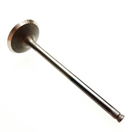 Segway INTAKE VALVE - Partnr: F01A20002001