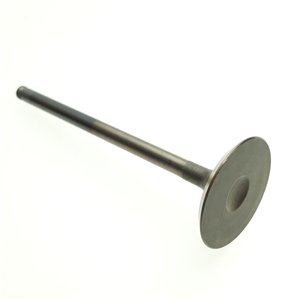 Segway INTAKE VALVE - Partnr: F01A20002001
