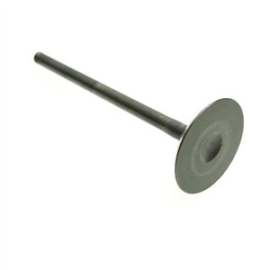 Segway EXHAUST VALVE - Partnr: F01A20003001