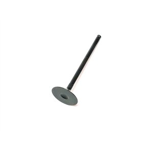 Segway EXHAUST VALVE - Partnr: F01A20003001