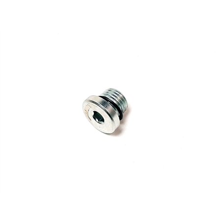 Segway PLUG M14×1.5×11 - Partnr: Q02F00014001
