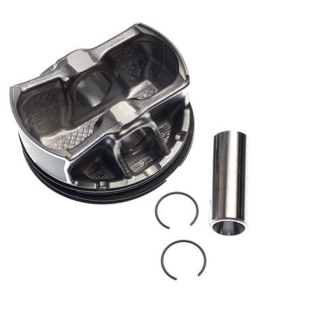 Segway PISTION KIT Ⅰ - Partnr: F01B00100001