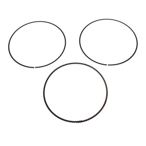Segway OIL RING COMBINATION - Partnr: F01B00010001