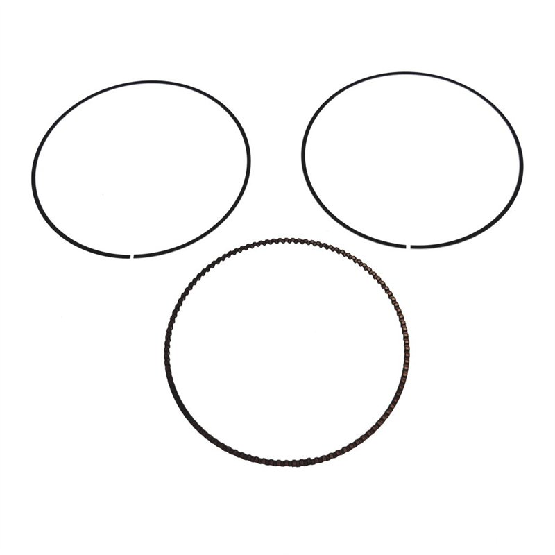 Segway OIL RING COMBINATION - Partnr: F01B00010001