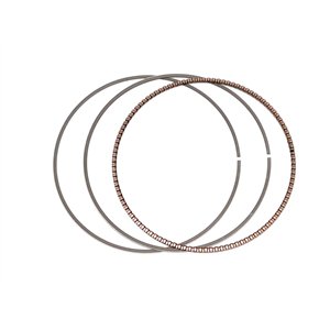 Segway OIL RING - Partnr: F02B00010001