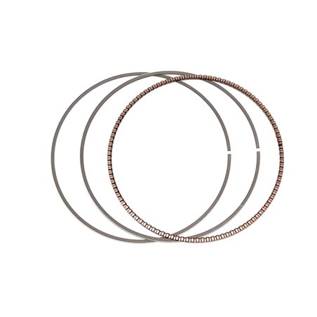 Segway OIL RING - Partnr: F02B00010001