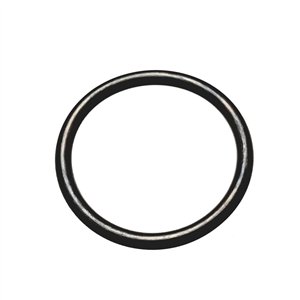 Segway O-RING 30×3 - Partnr: F01C30006001