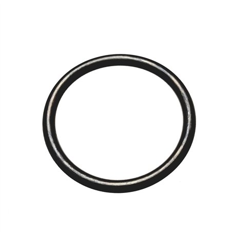 Segway O-RING 30×3 - Partnr: F01C30006001