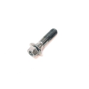 Segway BANJO BOLT M8×30 - Partnr: F01G00013001