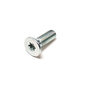 Segway SCREW M8×25 - Partnr: GBT026731001