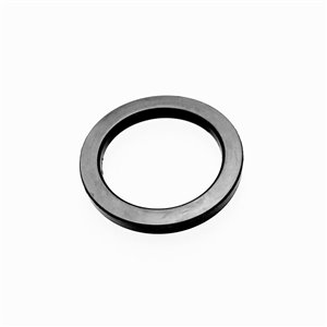 Segway OIL FILL CAP SEAL - Partnr: F01A10005001
