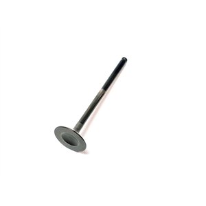 Segway EXHAUST VALVE - Partnr: F02A22001001