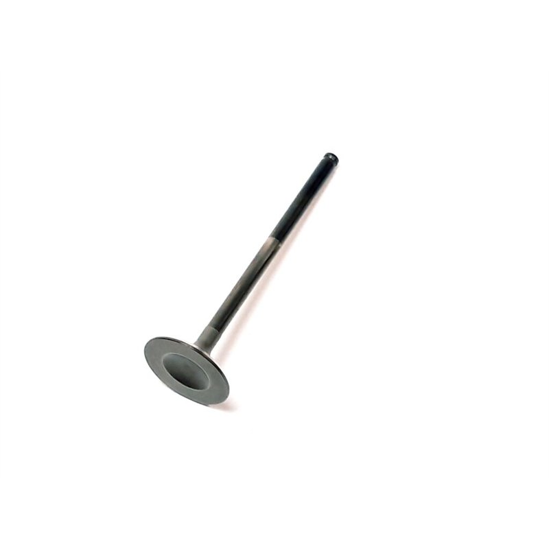Segway EXHAUST VALVE - Partnr: F02A22001001