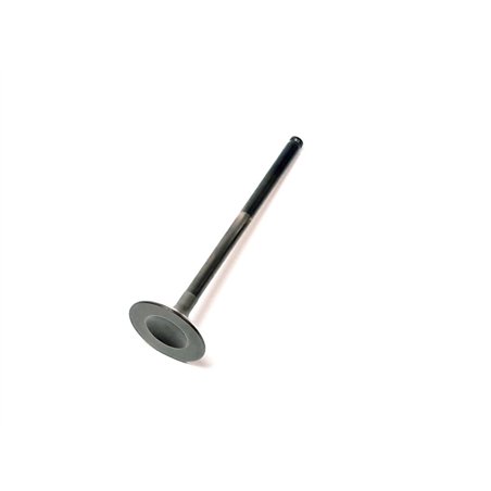 Segway EXHAUST VALVE - Partnr: F02A22001001
