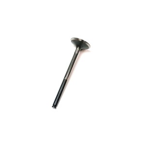 Segway EXHAUST VALVE - Partnr: F02A22001001