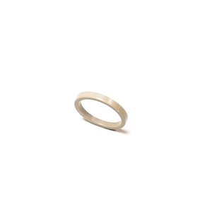 Segway SPEED LIMITING WASHER - Partnr: F01-E102008-000-00