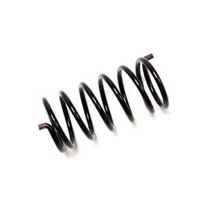 Segway DRIVEN PULLEY SPRING - Partnr: F01E30001003