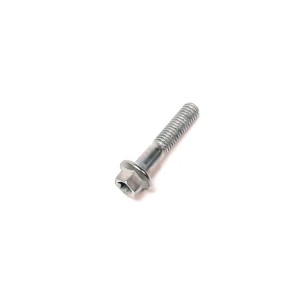Segway BOLT M6×30 - Partnr: F01000006001