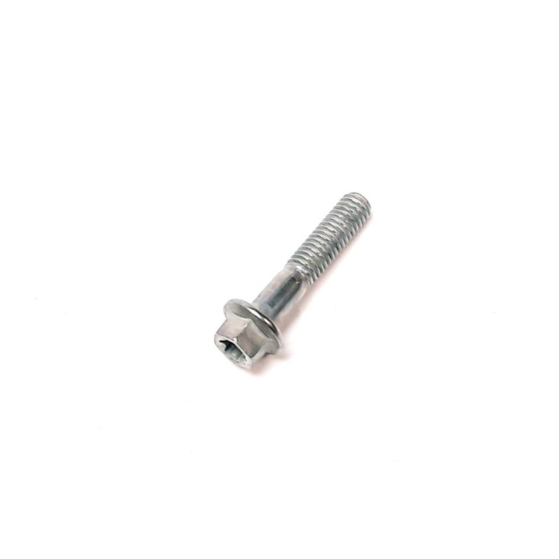 Segway BOLT M6×30 - Partnr: F01000006001