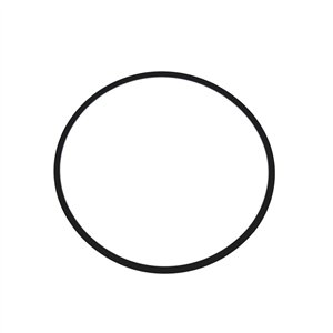 Segway O-RING 88×2.8 - Partnr: F01F20504001