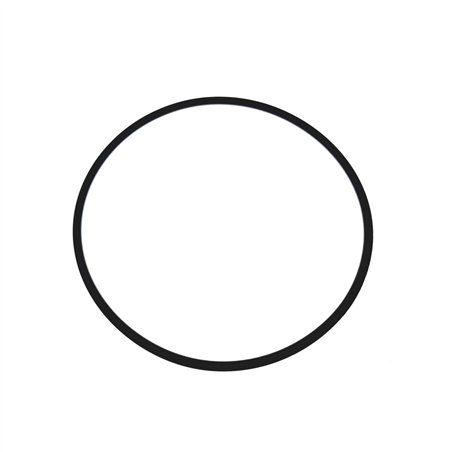 Segway O-RING 88×2.8 - Partnr: F01F20504001