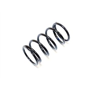 Segway SPRING, 250-600N - Partnr: F01-E102009-000-01 (Recommandé)