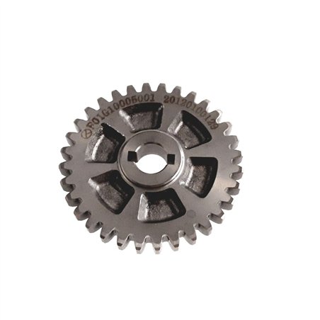 Segway OIL PUMP DRIVEN GEAR - Partnr: F01G10005001
