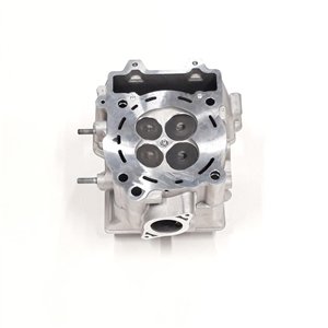 Segway CYLINDER HEAD ASSEMBLY - Partnr: F01A20000002