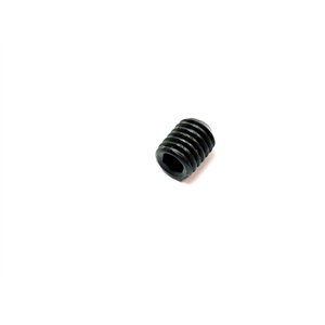 Segway PLUG M8×10 - Partnr: Q02F40103001