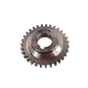 Segway OIL PUMP DRIVE GEAR - Partnr: F01G00010001
