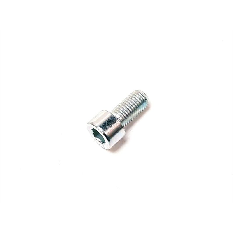 Segway HEXAGON SOCKET HEAD CAP BOLT M10×1.25×20 - Partnr: GBT000701002
