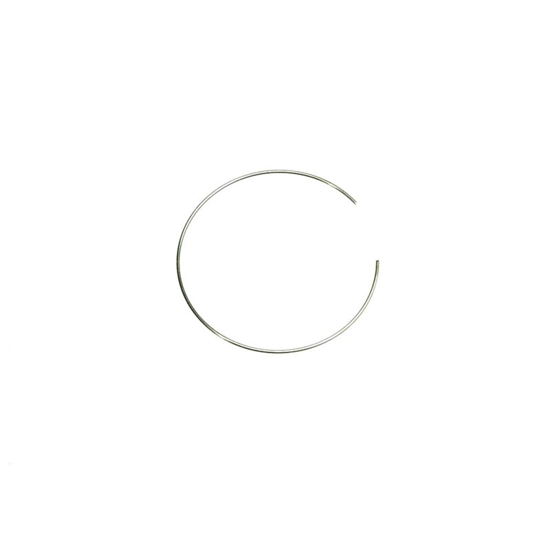 Segway CIRCLIP 52 - Partnr: F01E20203003